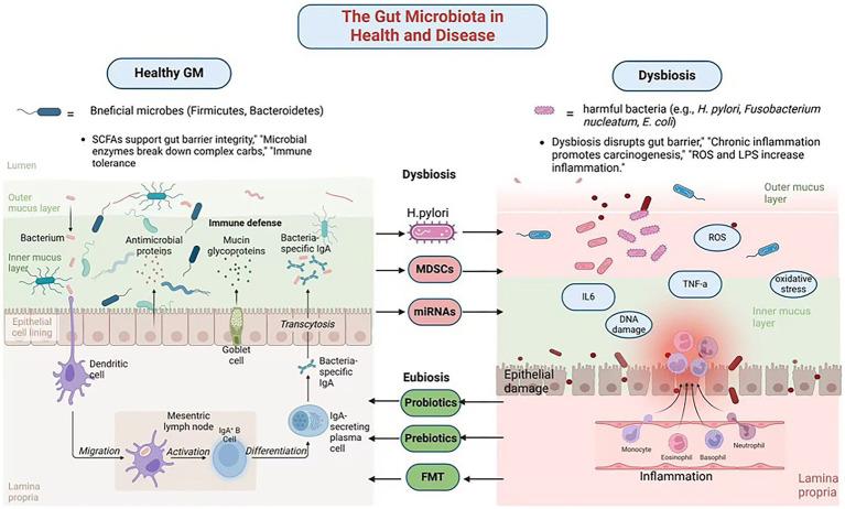 https://cdn.ncbi.nlm.nih.gov/pmc/blobs/ec64/12344422/6ad2a0354d41/fmicb-16-1606924-g001.jpg