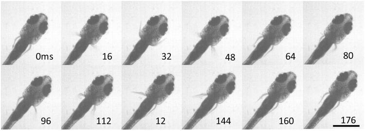 https://cdn.ncbi.nlm.nih.gov/pmc/blobs/ec64/4097112/d0afa671b3f3/icu014f6p.jpg