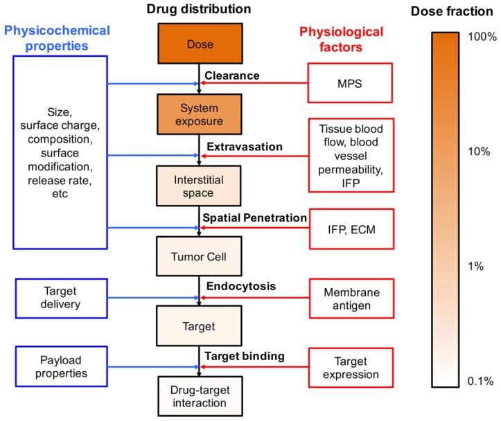 https://cdn.ncbi.nlm.nih.gov/pmc/blobs/ec65/6471205/a027f7153f05/pharmaceutics-11-00110-g001.jpg