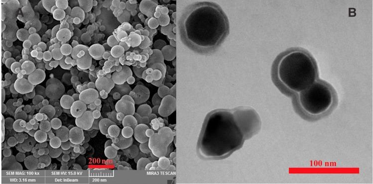 https://cdn.ncbi.nlm.nih.gov/pmc/blobs/ec65/7182466/8961c8e48fe2/IJN-15-2617-g0003.jpg