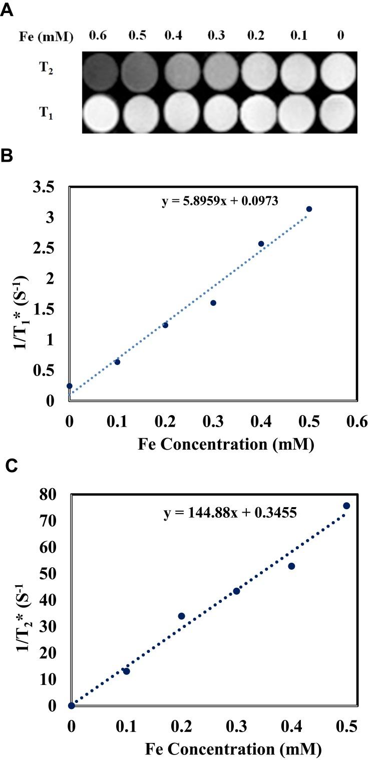 https://cdn.ncbi.nlm.nih.gov/pmc/blobs/ec65/7182466/cdab7fda7d46/IJN-15-2617-g0009.jpg