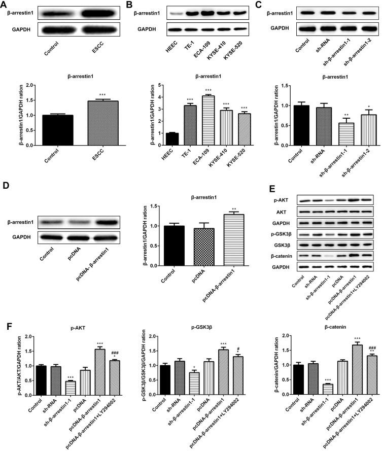 https://cdn.ncbi.nlm.nih.gov/pmc/blobs/ec67/7060783/a25b1b2a3ceb/OTT-13-1873-g0001.jpg