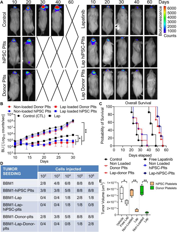 https://cdn.ncbi.nlm.nih.gov/pmc/blobs/ec67/8521584/503acbf88664/41598_2021_96351_Fig4_HTML.jpg
