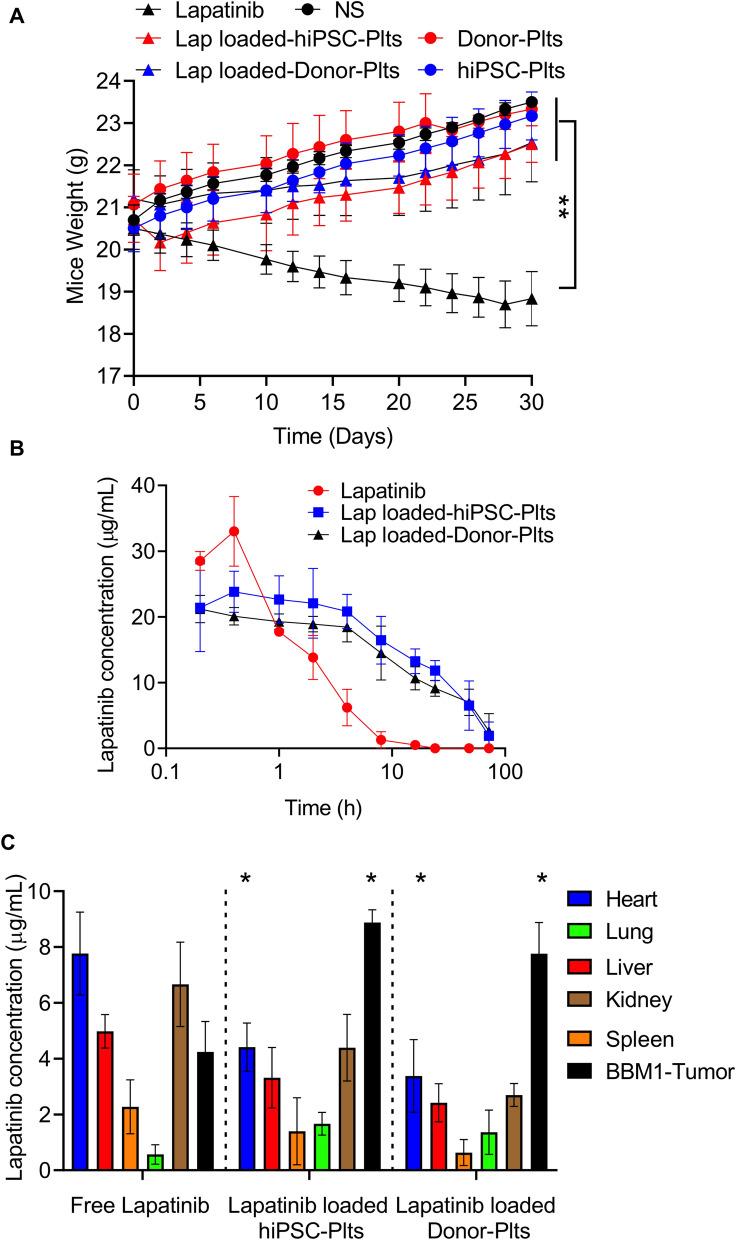 https://cdn.ncbi.nlm.nih.gov/pmc/blobs/ec67/8521584/9ae3cd15d7c6/41598_2021_96351_Fig5_HTML.jpg