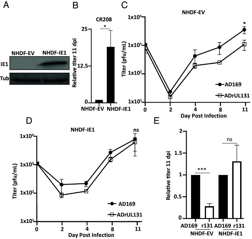 https://cdn.ncbi.nlm.nih.gov/pmc/blobs/ec68/11441559/833a4f5eb503/pnas.2408078121fig03.jpg