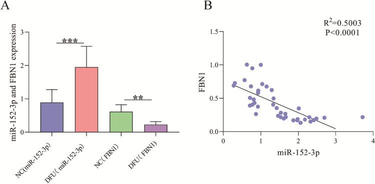 https://cdn.ncbi.nlm.nih.gov/pmc/blobs/ec69/11087368/4ab779a8248e/12033_2023_1027_Fig1_HTML.jpg