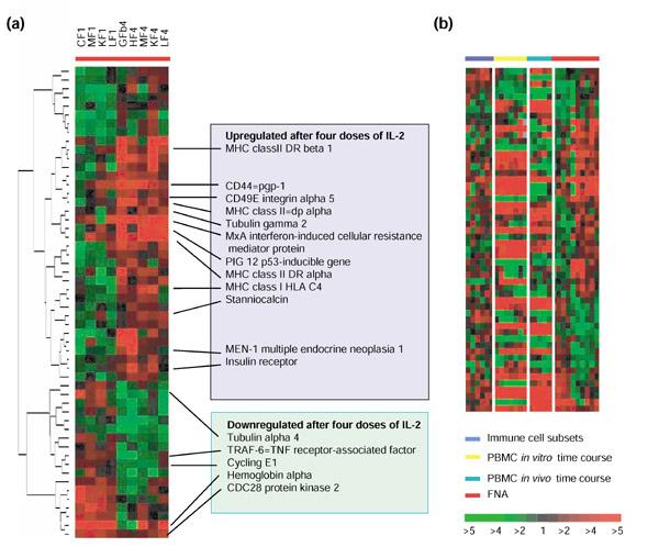 https://cdn.ncbi.nlm.nih.gov/pmc/blobs/ec69/126240/7bddc0086dce/gb-2002-3-7-research0035-6.jpg