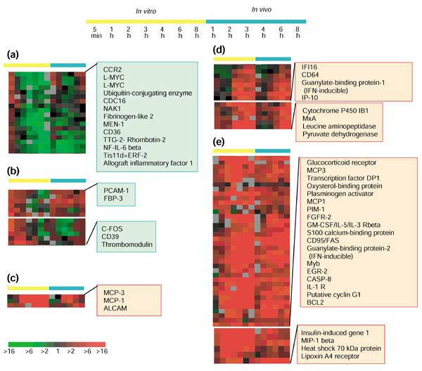 https://cdn.ncbi.nlm.nih.gov/pmc/blobs/ec69/126240/88144f8fe274/gb-2002-3-7-research0035-3.jpg