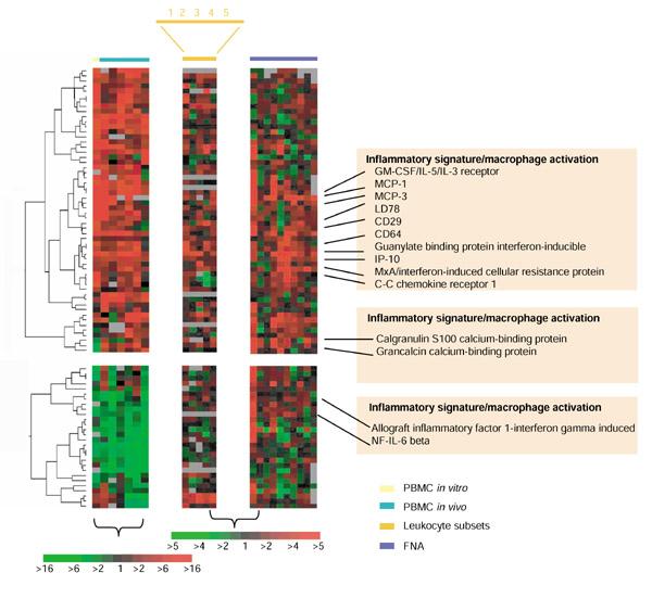 https://cdn.ncbi.nlm.nih.gov/pmc/blobs/ec69/126240/a8f6499f0424/gb-2002-3-7-research0035-4.jpg