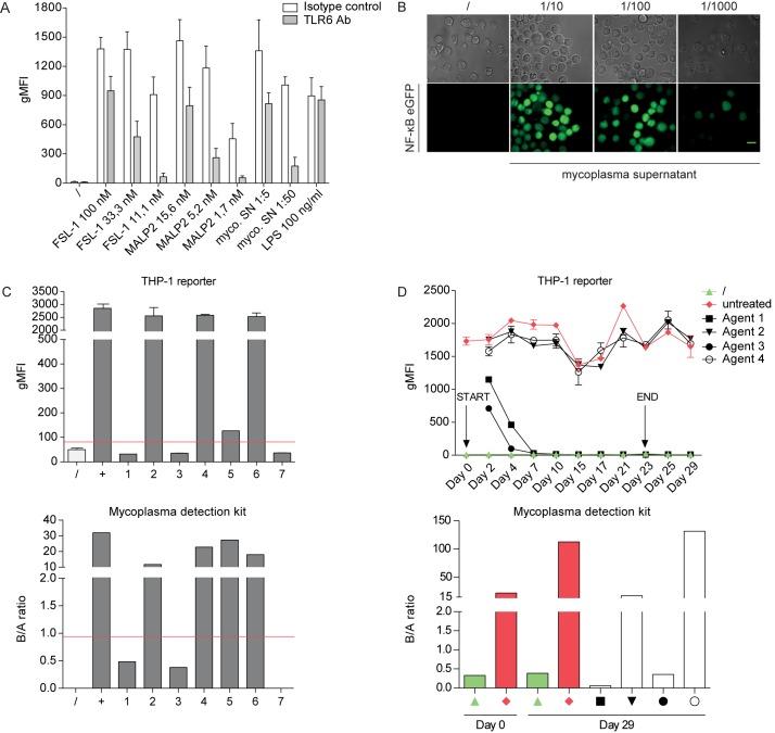 https://cdn.ncbi.nlm.nih.gov/pmc/blobs/ec69/5443541/9c7722844768/pone.0178220.g003.jpg