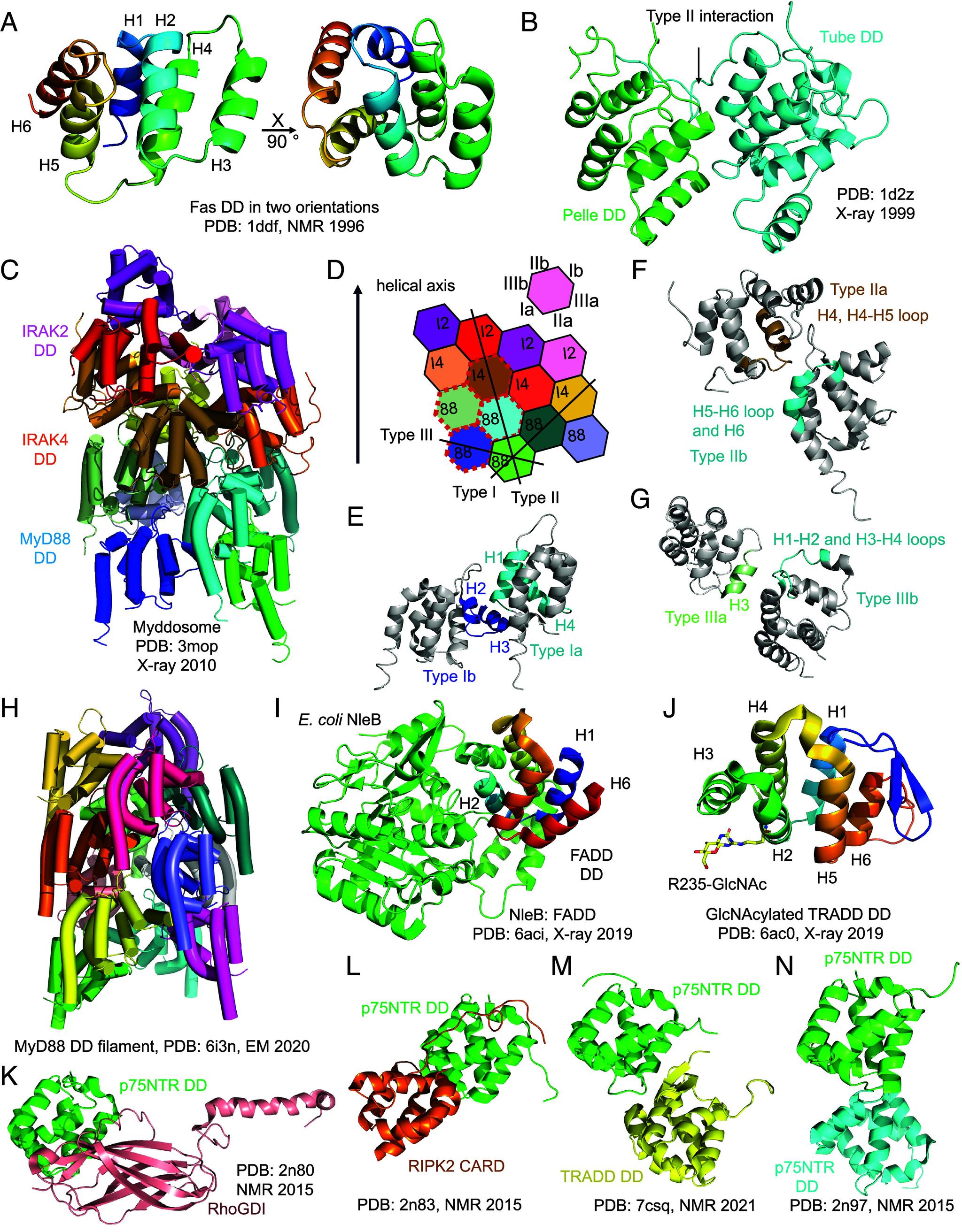 https://cdn.ncbi.nlm.nih.gov/pmc/blobs/ec6a/11874512/4f3663b2a7a9/pnas.2426986122fig02.jpg