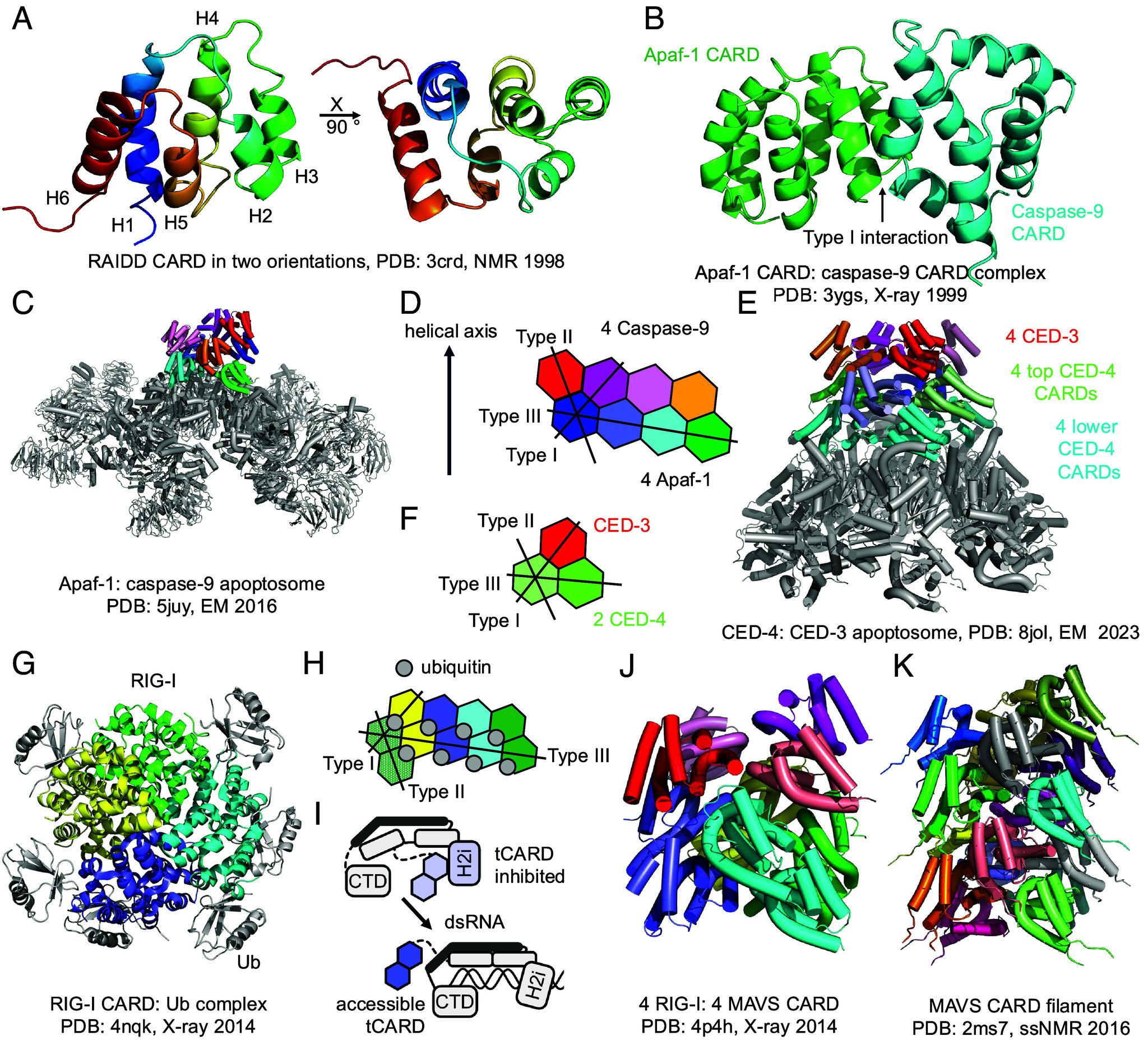 https://cdn.ncbi.nlm.nih.gov/pmc/blobs/ec6a/11874512/b4f98c167017/pnas.2426986122fig04.jpg