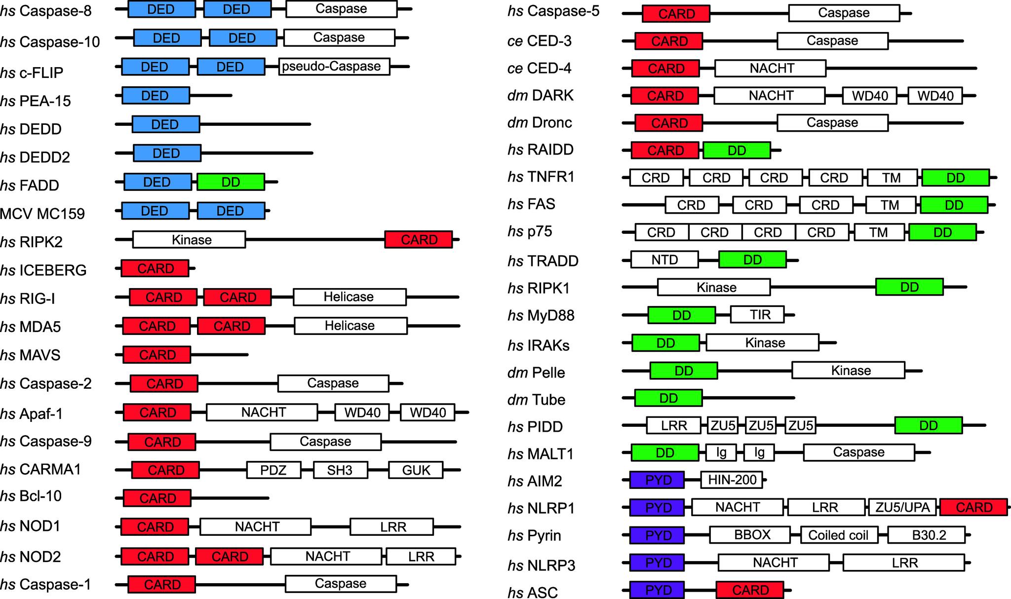 https://cdn.ncbi.nlm.nih.gov/pmc/blobs/ec6a/11874512/ba326c78c20b/pnas.2426986122fig01.jpg