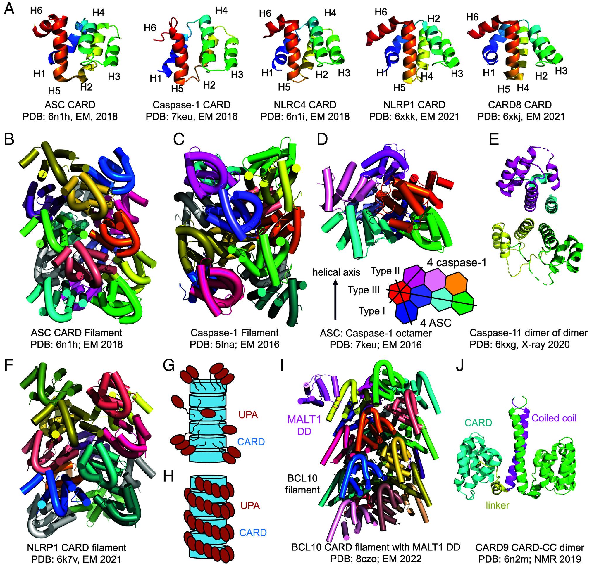 https://cdn.ncbi.nlm.nih.gov/pmc/blobs/ec6a/11874512/ea2d5a67a183/pnas.2426986122fig05.jpg