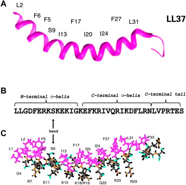 https://cdn.ncbi.nlm.nih.gov/pmc/blobs/ec6c/9445486/90dd777f7304/fphar-13-944147-g002.jpg