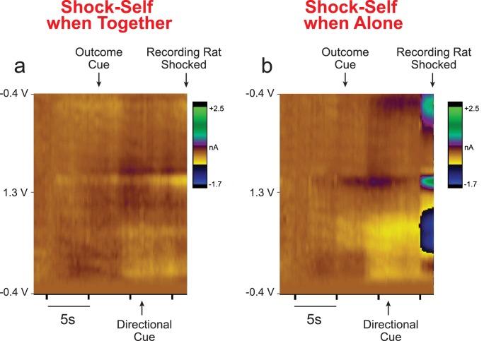 https://cdn.ncbi.nlm.nih.gov/pmc/blobs/ec6d/6261252/86453817fc93/elife-38090-fig4-figsupp2.jpg