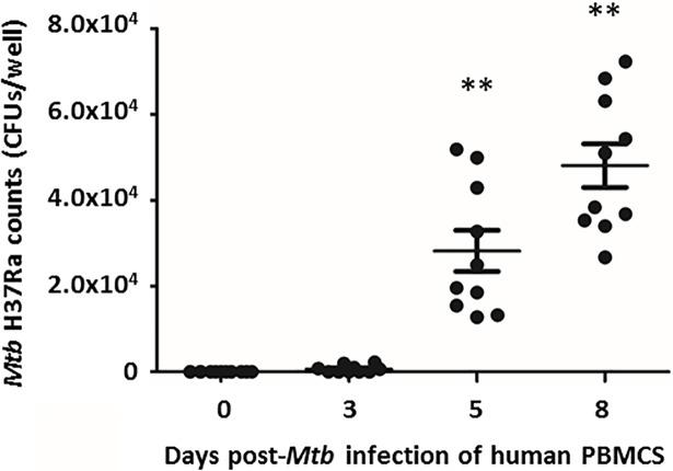 https://cdn.ncbi.nlm.nih.gov/pmc/blobs/ec6f/6133369/5b8db5a8a135/pone.0203822.g004.jpg