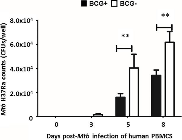 https://cdn.ncbi.nlm.nih.gov/pmc/blobs/ec6f/6133369/ecad1ff64ebf/pone.0203822.g006.jpg
