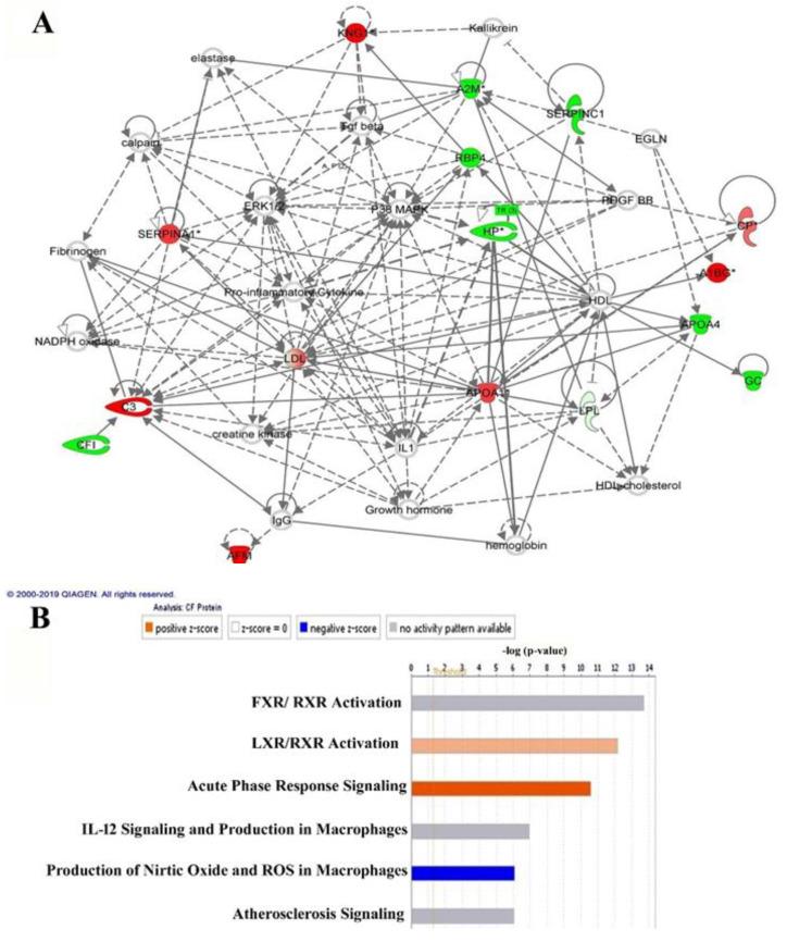 https://cdn.ncbi.nlm.nih.gov/pmc/blobs/ec6f/7582405/42de3337b97c/ijms-21-07415-g005.jpg