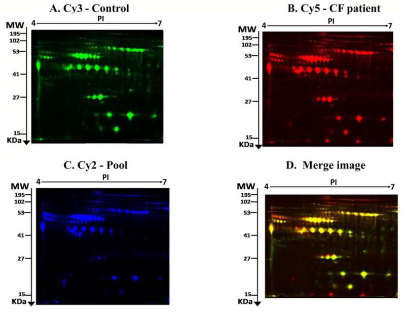 https://cdn.ncbi.nlm.nih.gov/pmc/blobs/ec6f/7582405/e9272474fb11/ijms-21-07415-g001.jpg