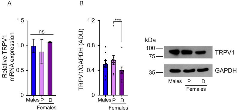 https://cdn.ncbi.nlm.nih.gov/pmc/blobs/ec73/11312332/16a766215f0c/ijms-25-08040-g002.jpg