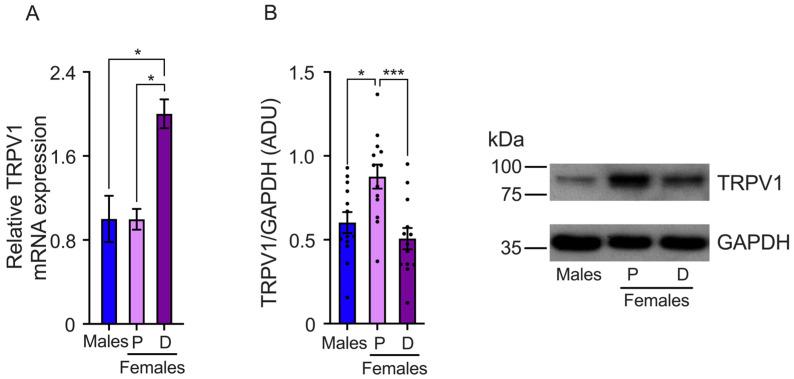 https://cdn.ncbi.nlm.nih.gov/pmc/blobs/ec73/11312332/e53c6308dfe1/ijms-25-08040-g003.jpg