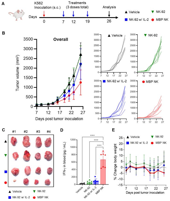 https://cdn.ncbi.nlm.nih.gov/pmc/blobs/ec76/10086201/b427bcfbf223/thnov13p1506g007.jpg