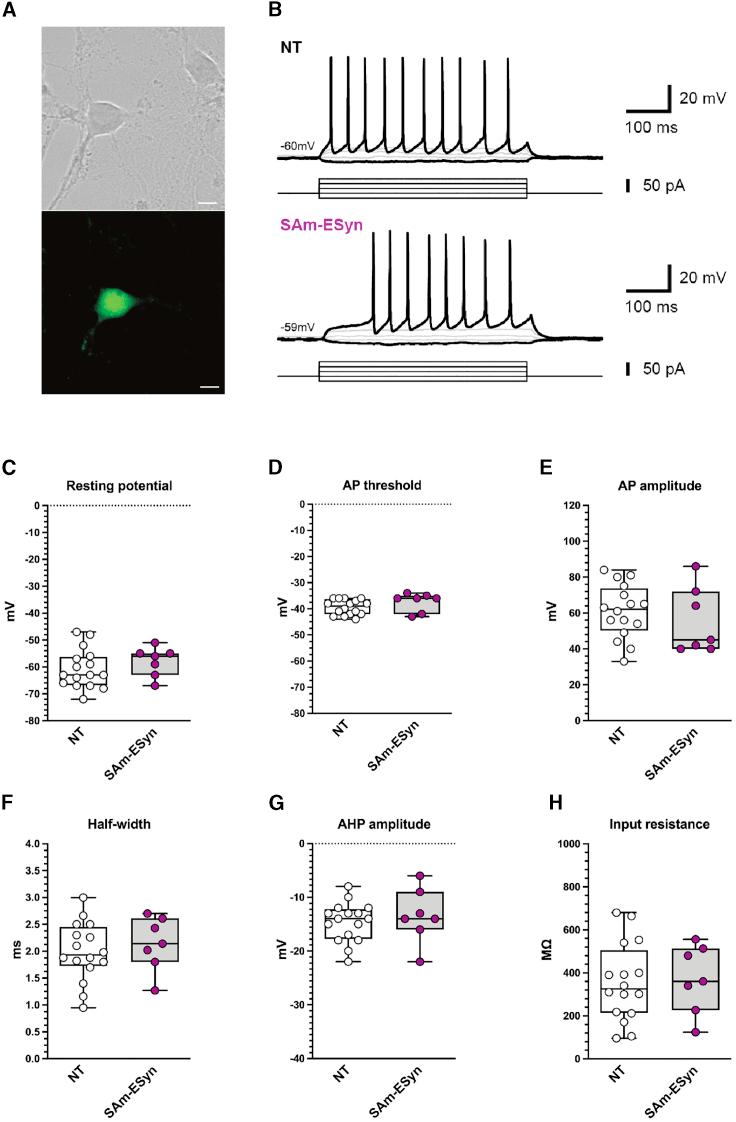 https://cdn.ncbi.nlm.nih.gov/pmc/blobs/ec77/8044385/29ab820bdb49/gr8.jpg