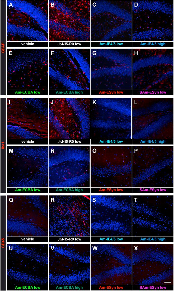 https://cdn.ncbi.nlm.nih.gov/pmc/blobs/ec77/8044385/5d1aba95092a/gr6.jpg