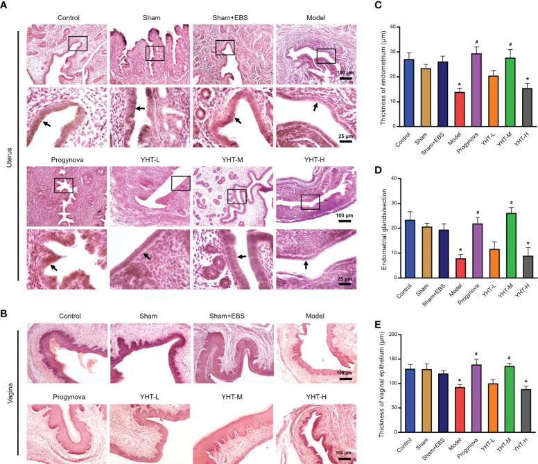 https://cdn.ncbi.nlm.nih.gov/pmc/blobs/ec77/9627159/87a02aada30c/fendo-13-994642-g003.jpg