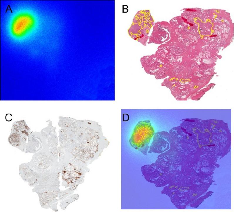 https://cdn.ncbi.nlm.nih.gov/pmc/blobs/ec78/10654338/2ba50a53c9a4/13550_2023_1044_Fig1_HTML.jpg