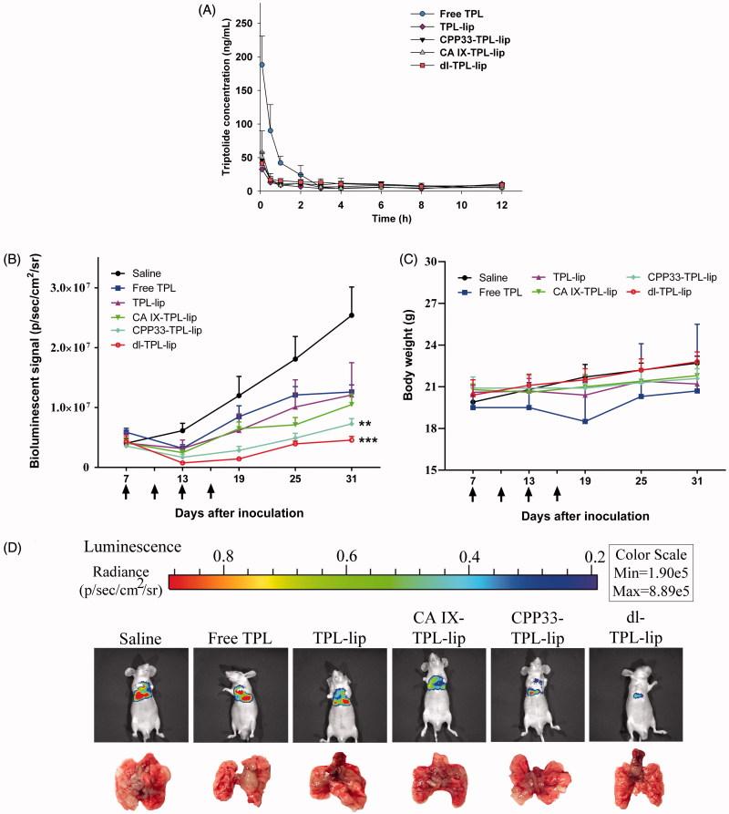 https://cdn.ncbi.nlm.nih.gov/pmc/blobs/ec79/6058720/66a4892fa994/IDRD_A_1425777_F0004_C.jpg