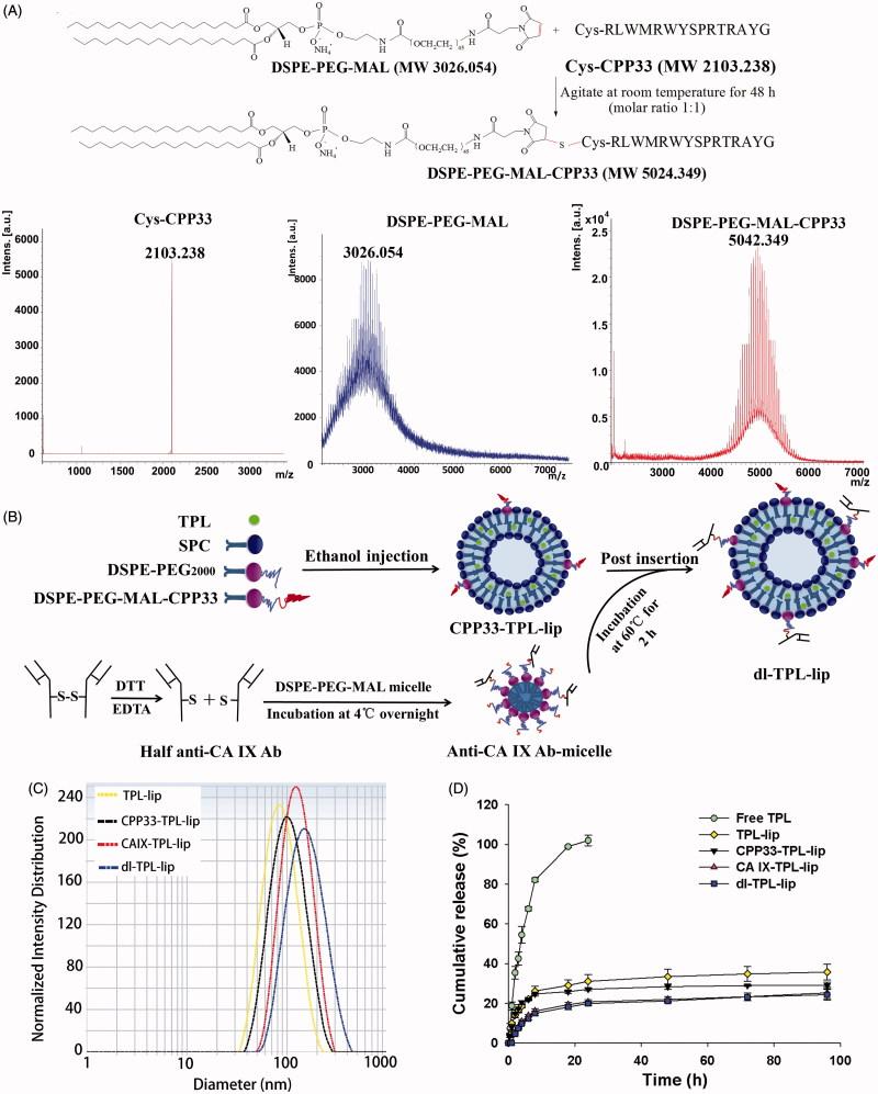 https://cdn.ncbi.nlm.nih.gov/pmc/blobs/ec79/6058720/ec767f9e419f/IDRD_A_1425777_F0001_C.jpg