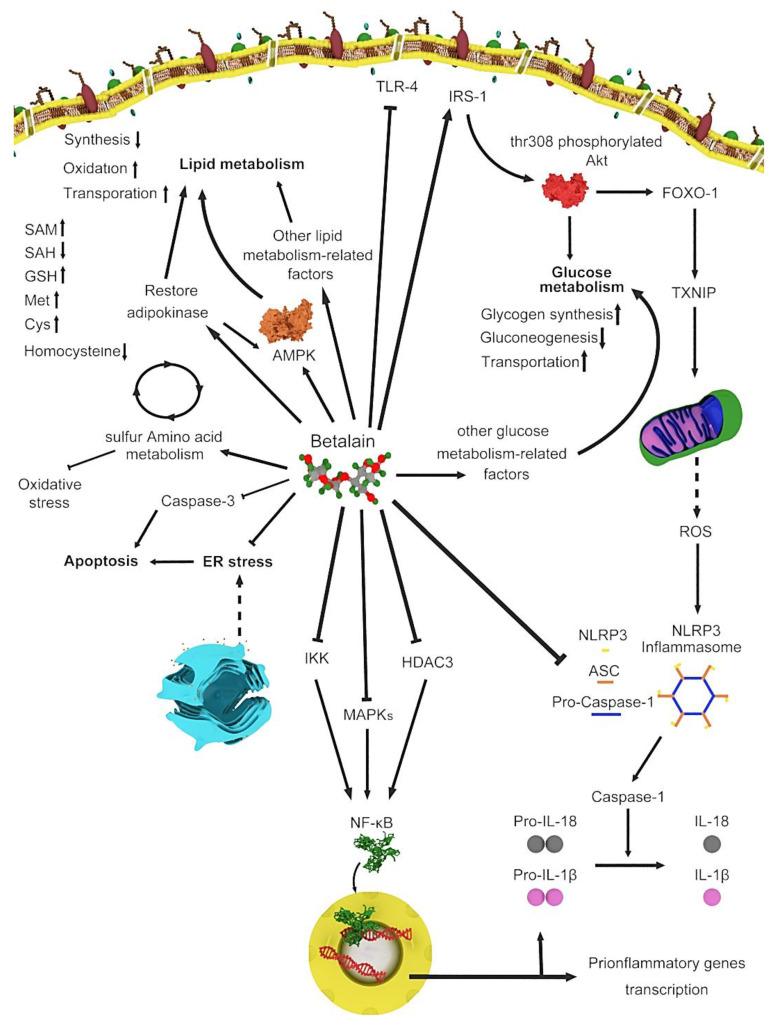 https://cdn.ncbi.nlm.nih.gov/pmc/blobs/ec79/7569795/1070e6b76bba/plants-09-01219-g001.jpg