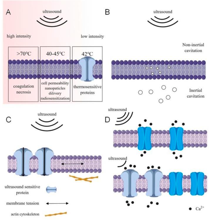 https://cdn.ncbi.nlm.nih.gov/pmc/blobs/ec7b/11214298/5abff1ccfe11/gr1.jpg