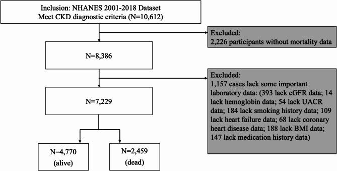 https://cdn.ncbi.nlm.nih.gov/pmc/blobs/ec7b/12008221/ac5bb4d48307/41598_2025_91731_Fig1_HTML.jpg