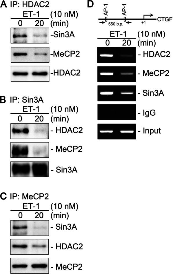 https://cdn.ncbi.nlm.nih.gov/pmc/blobs/ec7c/10265878/69e55902457b/12929_2023_931_Fig6_HTML.jpg