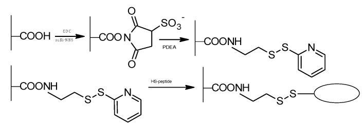 https://cdn.ncbi.nlm.nih.gov/pmc/blobs/ec7c/8659150/3d362df517e8/molecules-26-07264-g020.jpg