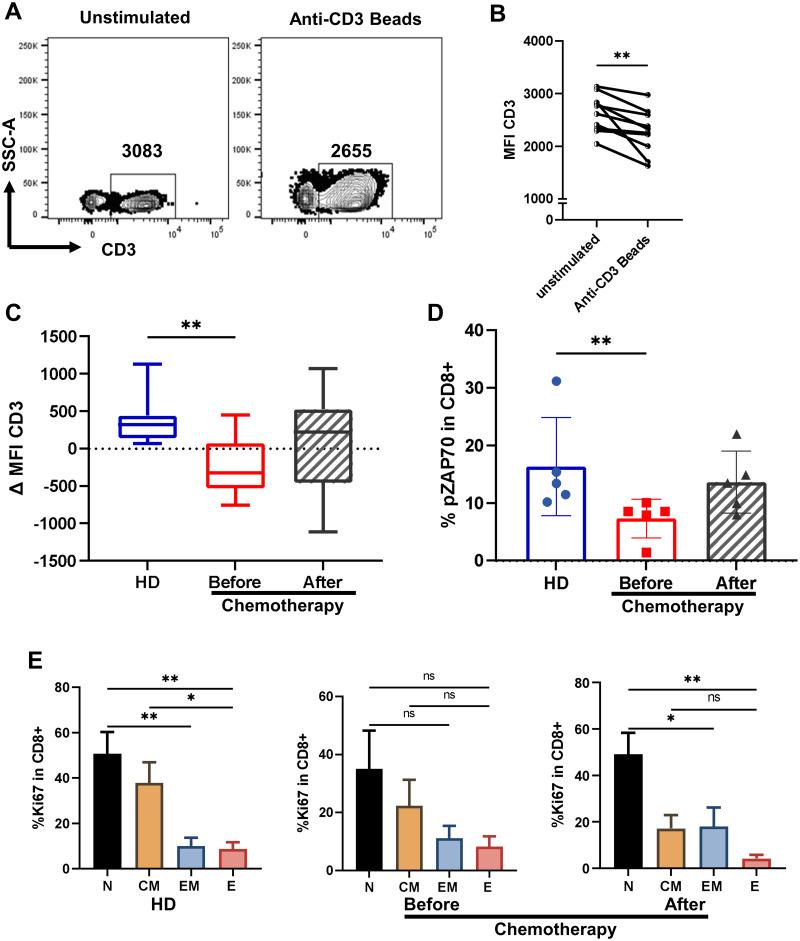 https://cdn.ncbi.nlm.nih.gov/pmc/blobs/ec7c/9916600/84696ba2eef6/pone.0280851.g001.jpg