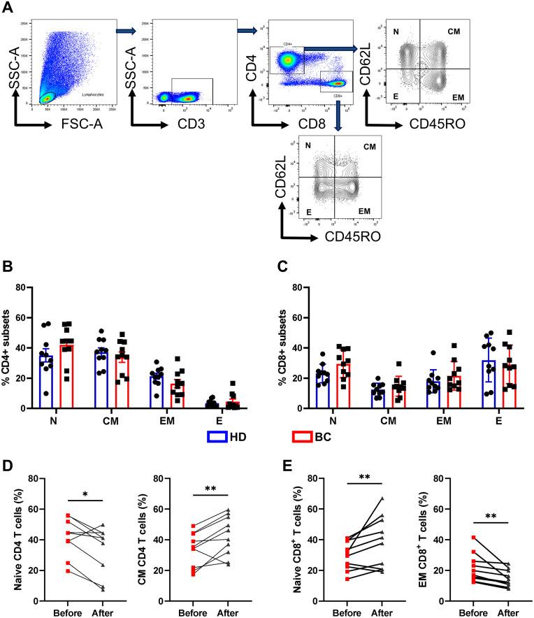 https://cdn.ncbi.nlm.nih.gov/pmc/blobs/ec7c/9916600/f4bcc16ca9d3/pone.0280851.g002.jpg