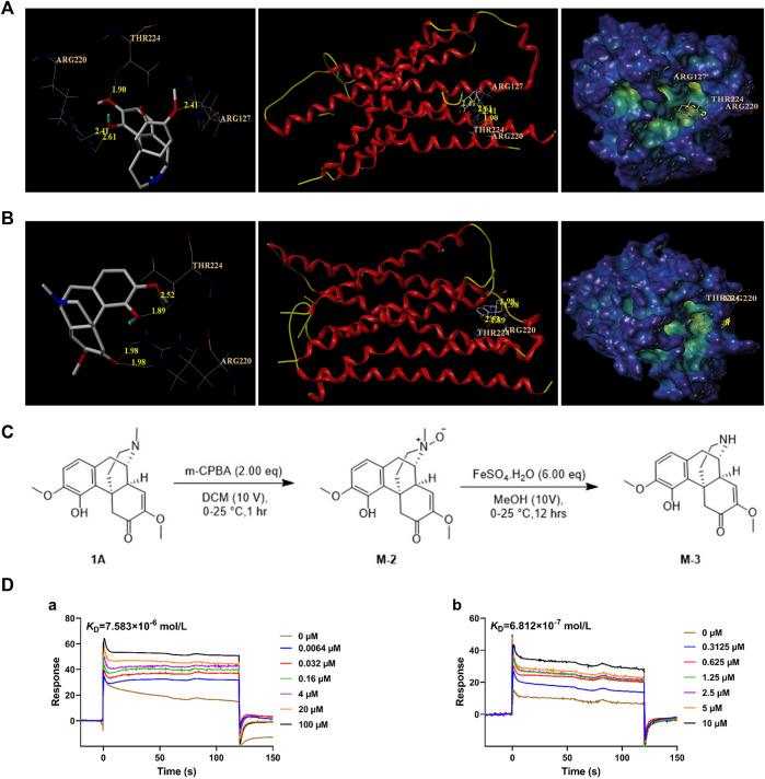 https://cdn.ncbi.nlm.nih.gov/pmc/blobs/ec7d/11322065/63f9b752f4e3/fphar-15-1389761-g001.jpg
