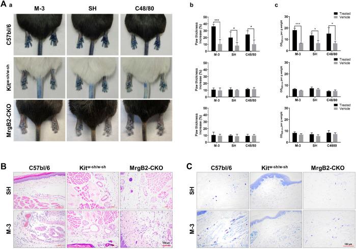 https://cdn.ncbi.nlm.nih.gov/pmc/blobs/ec7d/11322065/dc4348bd79c9/fphar-15-1389761-g005.jpg