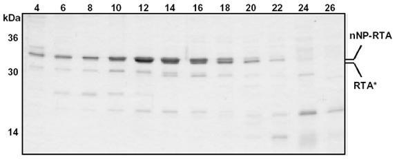 https://cdn.ncbi.nlm.nih.gov/pmc/blobs/ec7e/150387/711a52ce6e15/m42f1lg.jpg