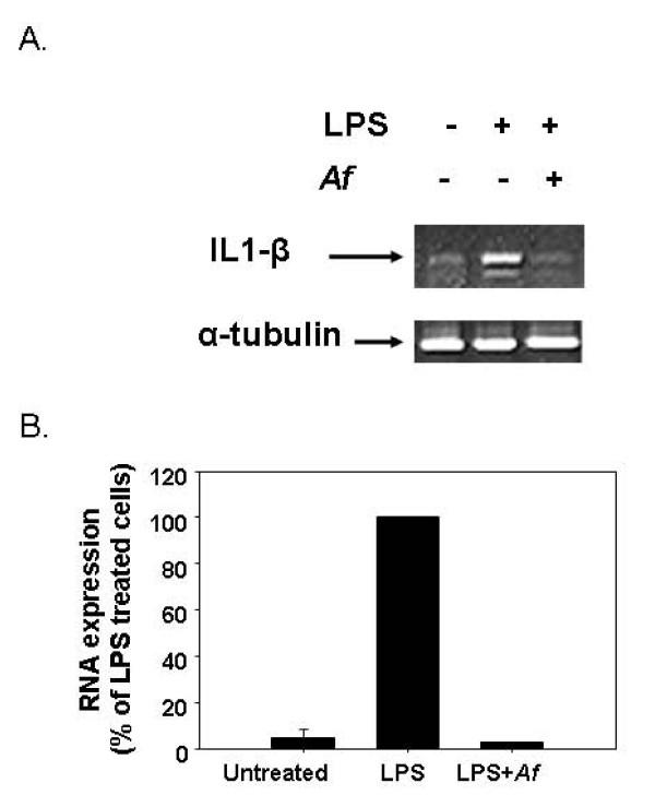 https://cdn.ncbi.nlm.nih.gov/pmc/blobs/ec7e/3213061/d10dc5265881/1472-6882-11-98-7.jpg