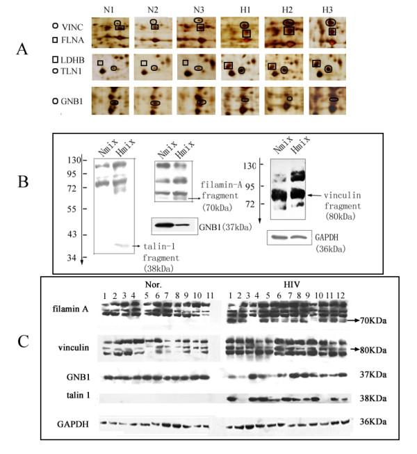 https://cdn.ncbi.nlm.nih.gov/pmc/blobs/ec7f/2850332/0ac6c8e7d91e/1477-5956-8-12-2.jpg