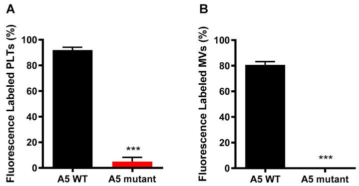 https://cdn.ncbi.nlm.nih.gov/pmc/blobs/ec84/10303431/f23a481b154d/pharmaceuticals-16-00837-g003.jpg