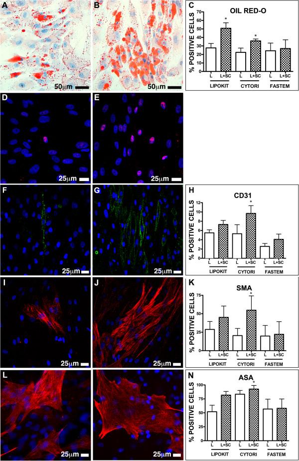 https://cdn.ncbi.nlm.nih.gov/pmc/blobs/ec84/4417272/214e4faa4328/13287_2014_418_Fig4_HTML.jpg