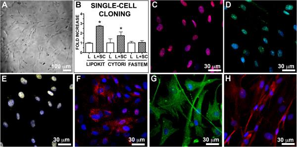 https://cdn.ncbi.nlm.nih.gov/pmc/blobs/ec84/4417272/be48e602b2b3/13287_2014_418_Fig3_HTML.jpg