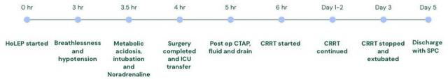 https://cdn.ncbi.nlm.nih.gov/pmc/blobs/ec85/12321252/fcf7a6fabcca/j_jccm-2025-0027_fig_001.jpg