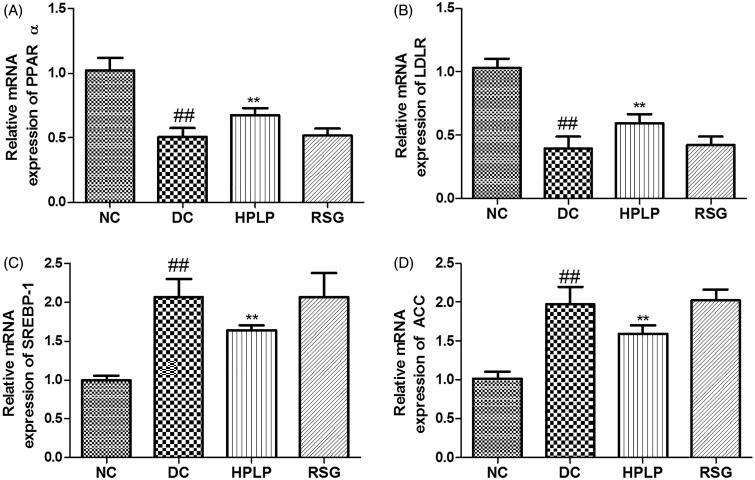 https://cdn.ncbi.nlm.nih.gov/pmc/blobs/ec86/8018507/a70c0ebb68ca/IPHB_A_1898648_F0008_B.jpg